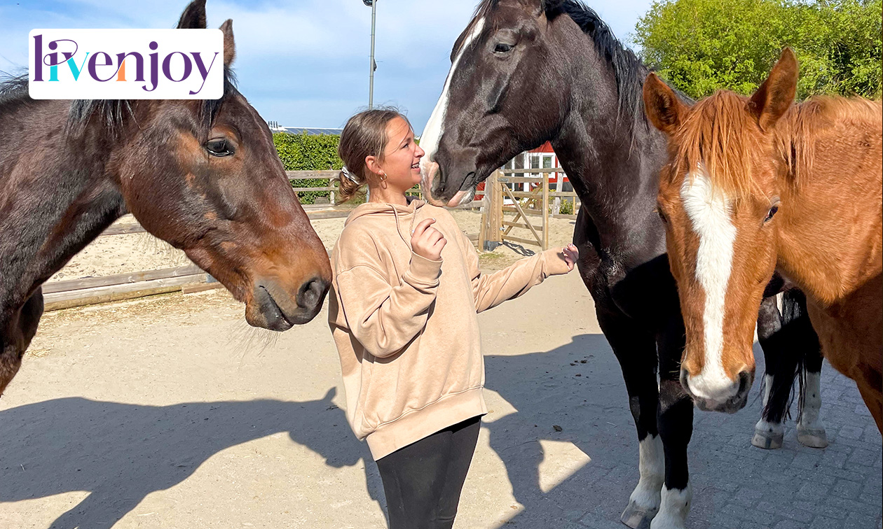 Paardencoaching (60 min)