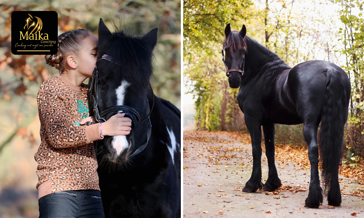 1 of 3 sessie(s) paardencoaching (60 min) 1 of 3 sessie(s) paardencoaching (60 min)