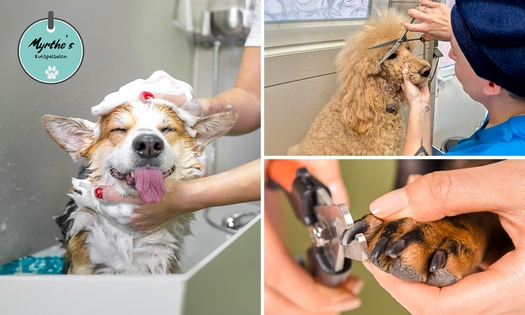 Trim- of wellnessbehandeling voor je hond