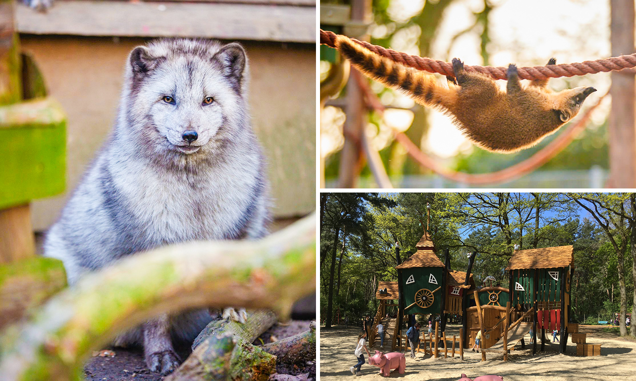 Eintritt in den Natur- und Tierpark Brüggen