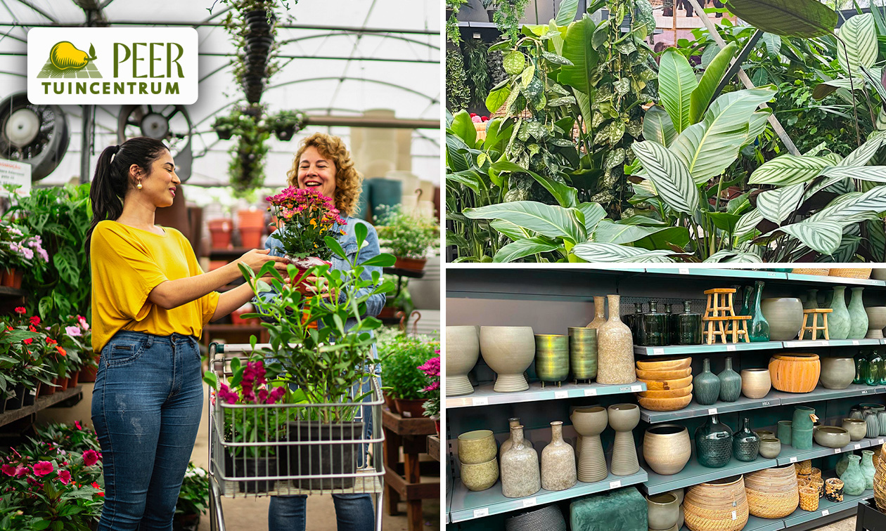 Waardebon t.w.v. €15 voor Peer Tuincentrum