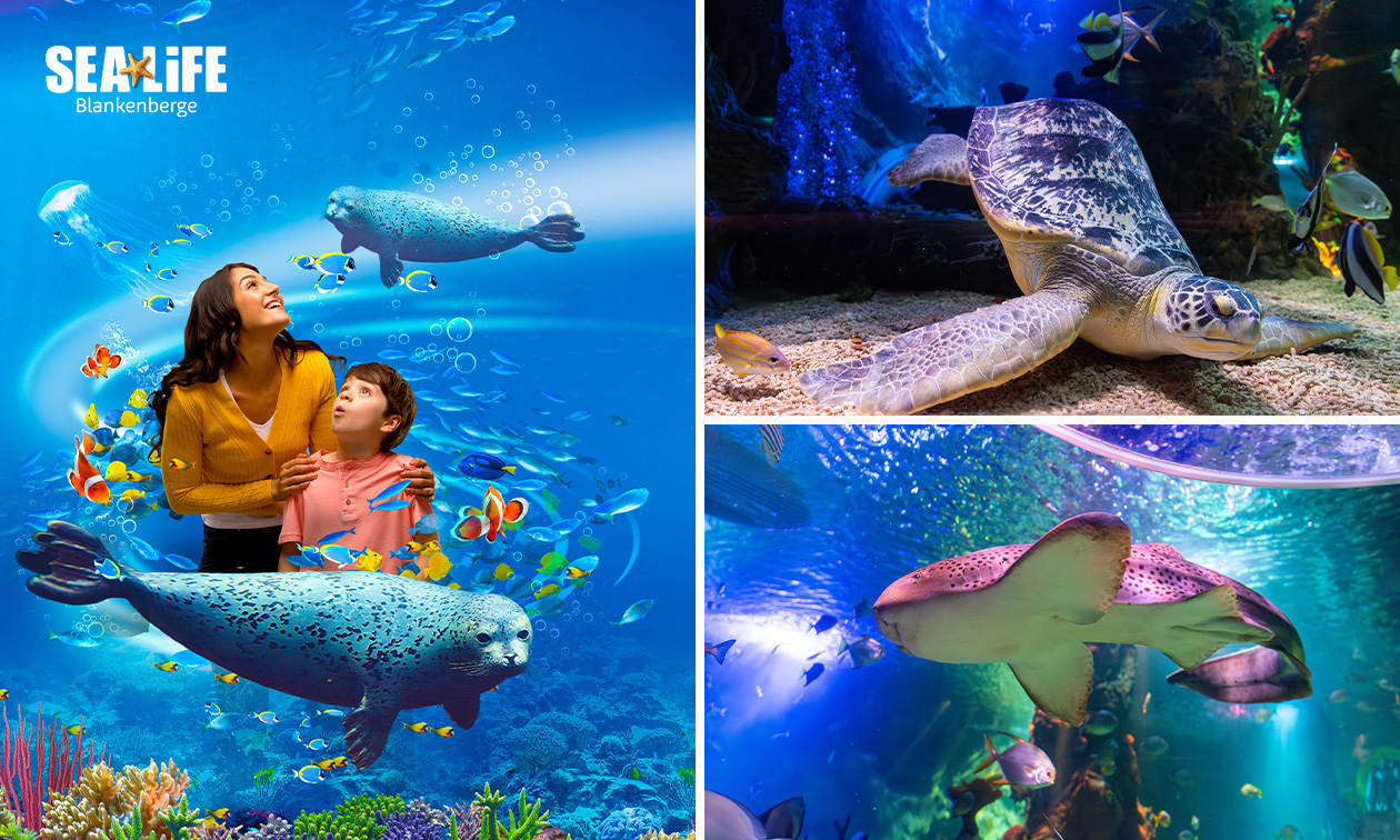 Entrée au SEA LIFE Blankenberge
