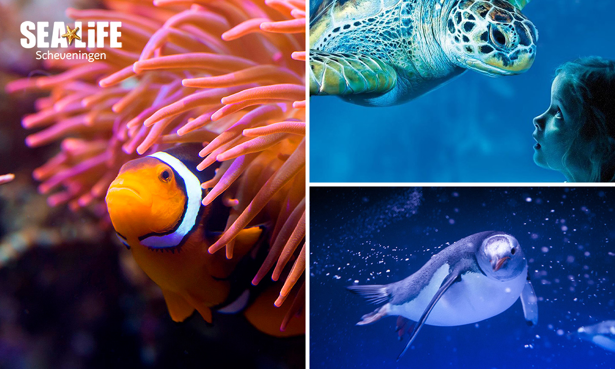 Entree SEA LIFE Scheveningen Entree SEA LIFE Scheveningen