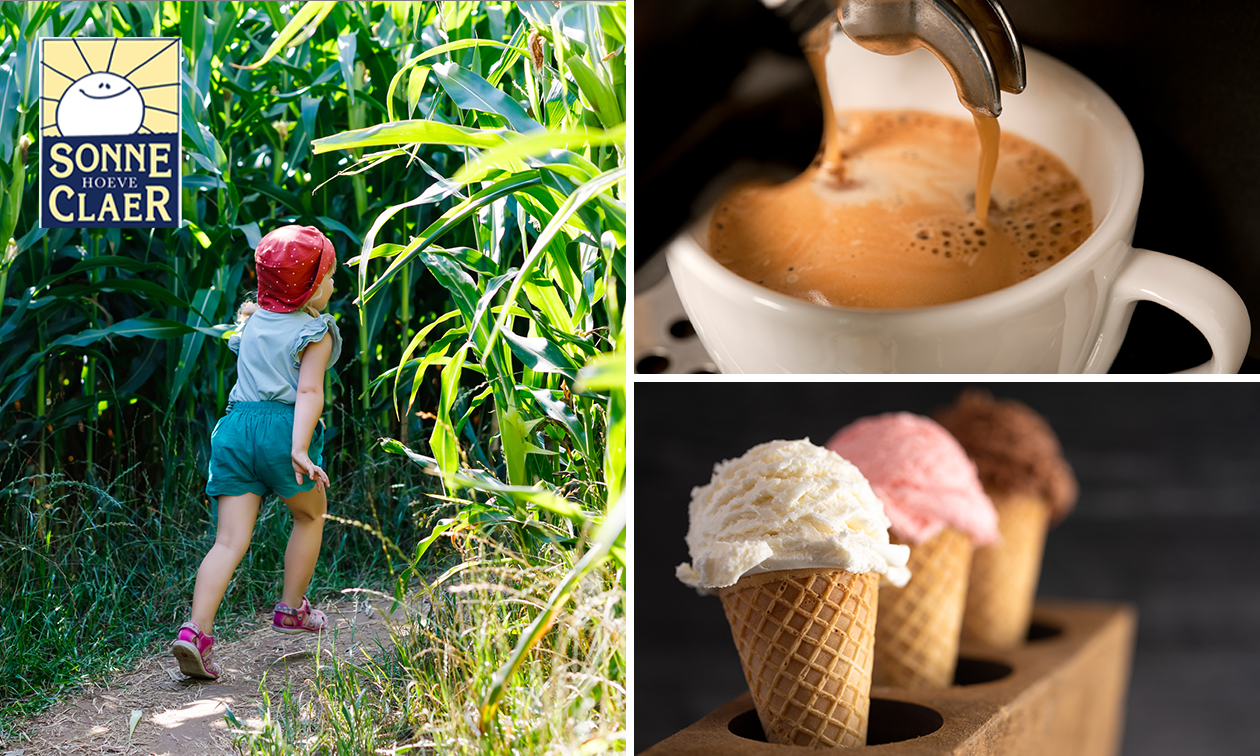 Entree maisdoolhof + koffie/thee + 2 bolletjes ijs + plakje cake