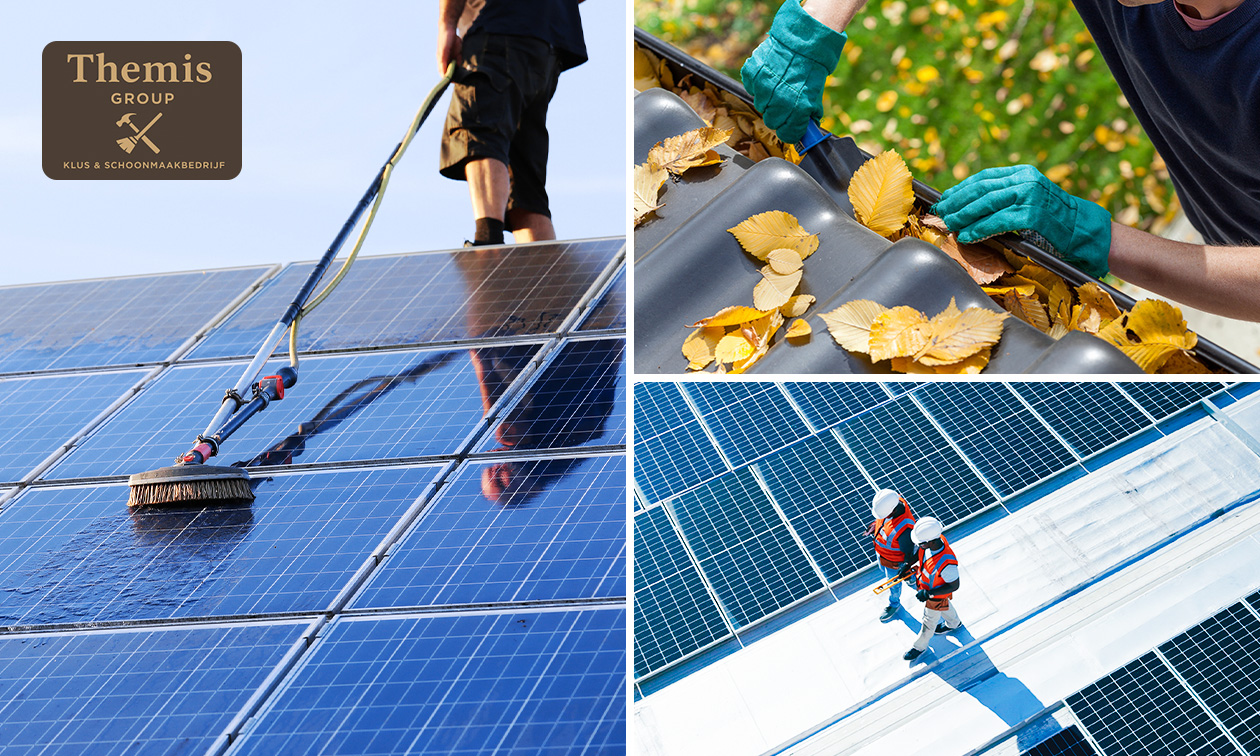 Dakinspectie + dakgoot reinigen + evt. dakkapel en/of zonnepanelen reinigen Dakinspectie + dakgoot reinigen + evt. dakkapel en/of zonnepanelen reinigen