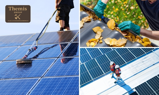 Dakinspectie + dakgoot reinigen + evt. dakkapel en/of zonnepanelen reinigen