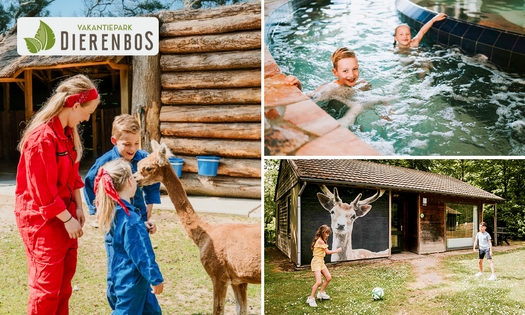 Wochenmitte oder Wochenende (für 2 bis 6 Personen) im Dierenbos + Eintritt in den Zoo