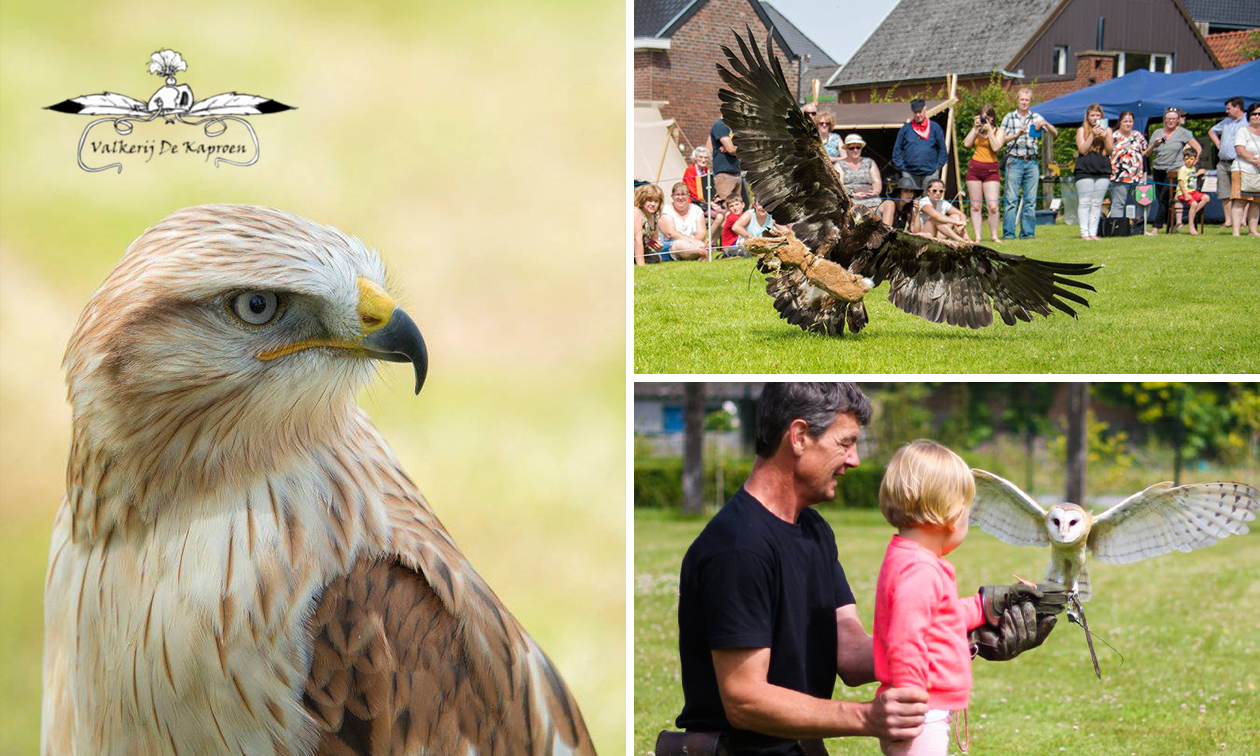Roofvogelworkshop (3 uur) + drankjes en versnaperingen